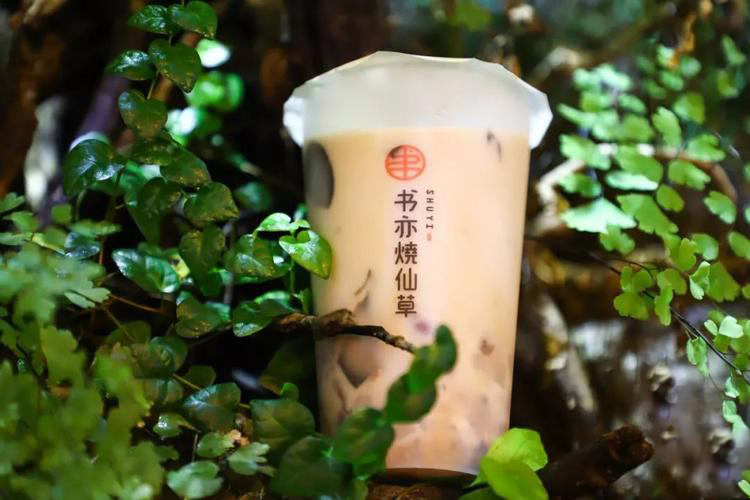 加盟的书亦烧仙草怎么样 加盟的书亦烧仙草怎么样