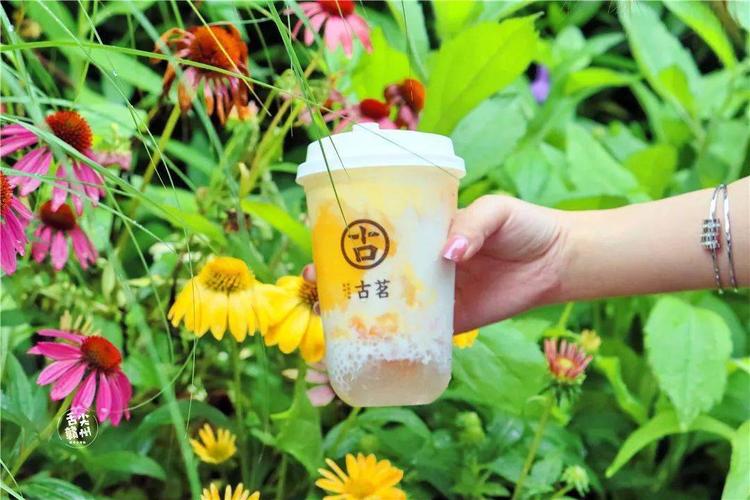 古茗加盟条件和费用-古茗加盟费是多少钱-古茗加盟条件很高吗-牛集餐饮网