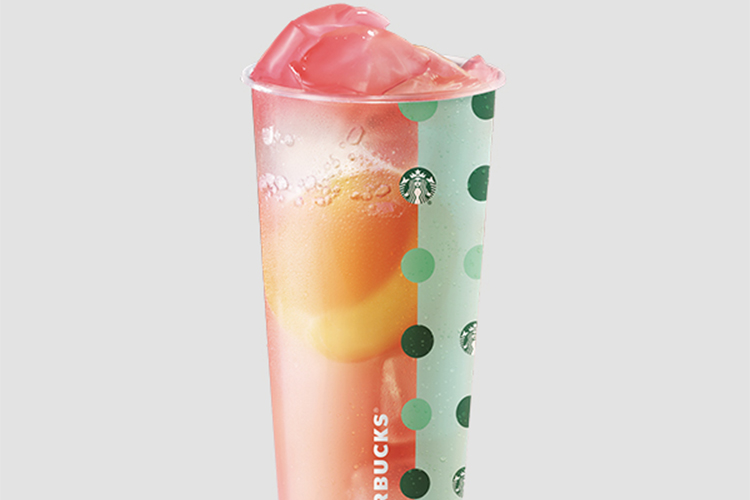 星巴克的加盟费用与条件,星巴克加盟费用明细 星巴克的加盟费用与条件,星巴克加盟费用明细