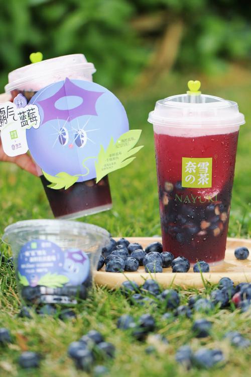 奈雪的茶加盟条件及加盟费用多少 奈雪的茶加盟条件及加盟费用多少